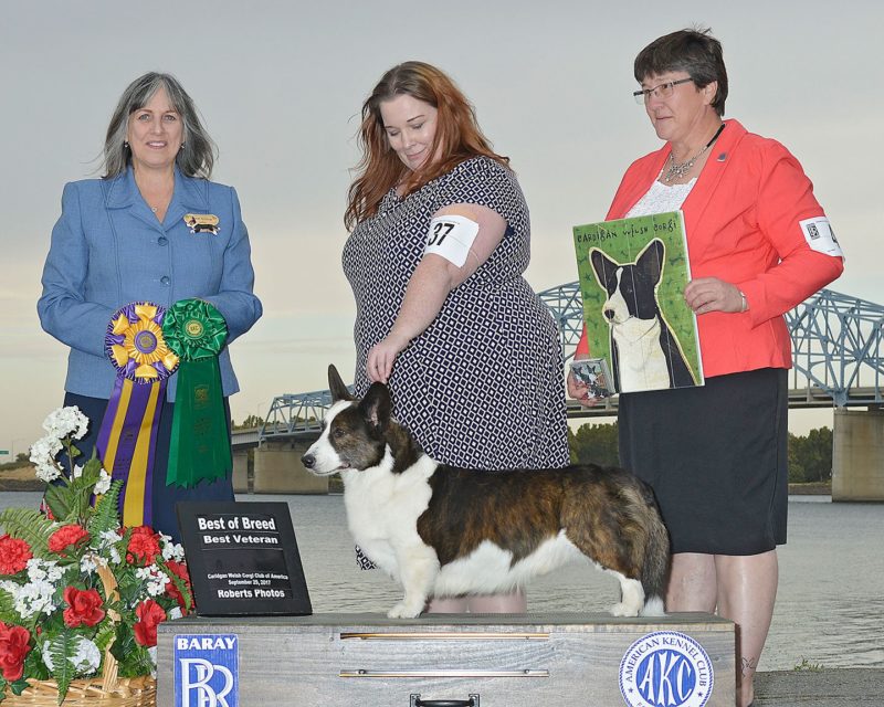 22181598_10159372503210537_8118825683427439553_o-800x640